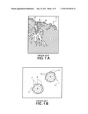 Filtration Media Comprising Granules of Binder-Agglomerated Active     Component diagram and image