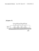 APPARATUS AND METHOD FOR MULTIPLE IMMUNOASSAYS ON A CHIP diagram and image