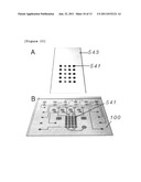 APPARATUS AND METHOD FOR MULTIPLE IMMUNOASSAYS ON A CHIP diagram and image