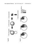 Compositions and Methods for the Identification and Use of Epigenetic     Markers Useful in the Study of Normal and Abnormal Mammalian     Gametogenesis diagram and image