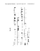 Compositions and Methods for the Identification and Use of Epigenetic     Markers Useful in the Study of Normal and Abnormal Mammalian     Gametogenesis diagram and image