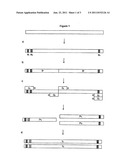 Process for Generating a Variant Library of DNA Sequences diagram and image