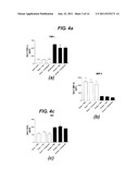 HISTAMINE BINDING PROTEIN diagram and image