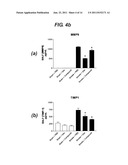 HISTAMINE BINDING PROTEIN diagram and image