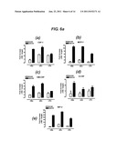 HISTAMINE BINDING PROTEIN diagram and image