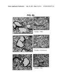 HISTAMINE BINDING PROTEIN diagram and image