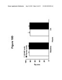 CHIMERIC NATRIURETIC POLYPEPTIDES AND METHODS FOR INHIBITING CARDIAC     REMODELING diagram and image