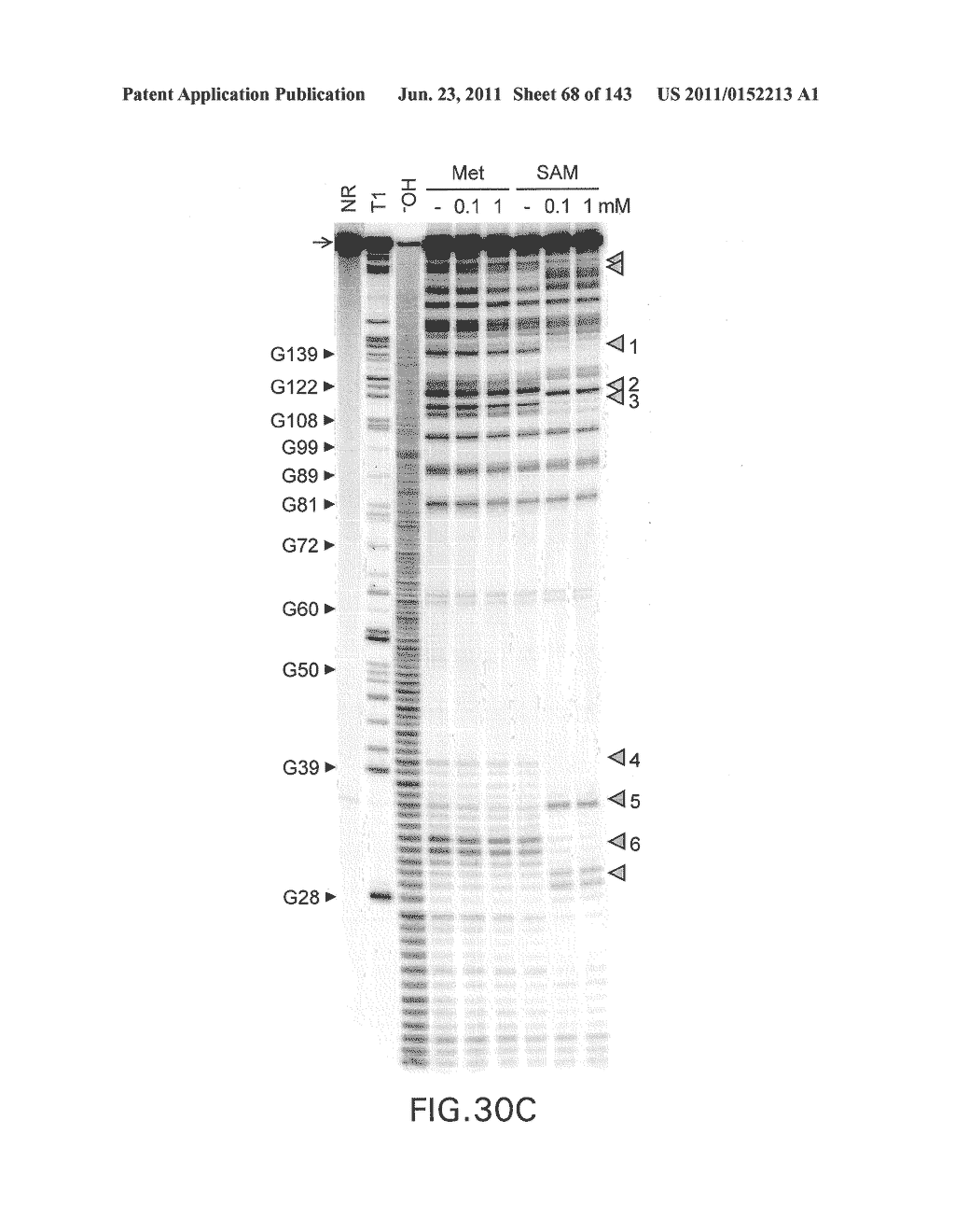 RIBOSWITCHES, METHODS FOR THEIR USE, AND COMPOSITIONS FOR USE WITH     RIBOSWITCHES - diagram, schematic, and image 69