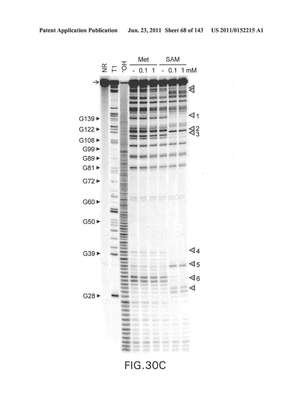 RIBOSWITCHES, METHODS FOR THEIR USE, AND COMPOSITIONS FOR USE WITH     RIBOSWITCHES - diagram, schematic, and image 69