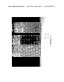 CRYSTALLINE PHOSPHOLIPID, METHOD FOR ITS PRODUCTION AND USE IN TREATING     DAMAGED TISSUE diagram and image