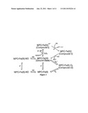 MYELOPEROXIDASE, A RISK INDICATOR FOR CARDIOVASCULAR DISEASE diagram and image