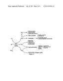 MYELOPEROXIDASE, A RISK INDICATOR FOR CARDIOVASCULAR DISEASE diagram and image