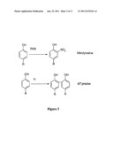 MYELOPEROXIDASE, A RISK INDICATOR FOR CARDIOVASCULAR DISEASE diagram and image