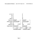 MYELOPEROXIDASE, A RISK INDICATOR FOR CARDIOVASCULAR DISEASE diagram and image