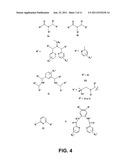 Photoactive Metal Nitrosyls For Blood Pressure Regulation And Cancer     Therapy diagram and image