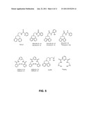 Photoactive Metal Nitrosyls For Blood Pressure Regulation And Cancer     Therapy diagram and image