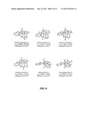 Photoactive Metal Nitrosyls For Blood Pressure Regulation And Cancer     Therapy diagram and image