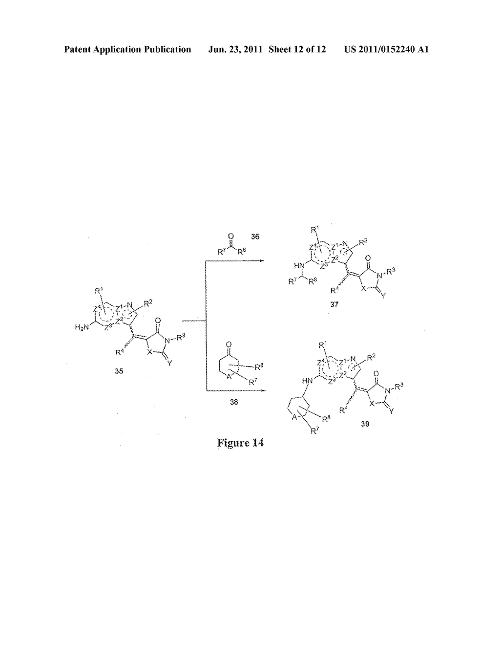 PYRAZOLOPYRIMIDINES AND RELATED HETEROCYCLES AS CK2 INHIBITORS - diagram, schematic, and image 13