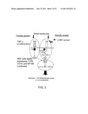 COMPOUNDS FOR MODULATING TLR2 diagram and image