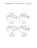 Compositions and Methods for Treating Hyperproliferative Disorders diagram and image