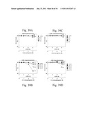 Compositions and Methods for Treating Hyperproliferative Disorders diagram and image