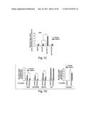 SMAD PROTEINS CONTROL DROSHA-MEDIATED MIRNA MATURATION diagram and image