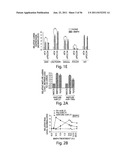 SMAD PROTEINS CONTROL DROSHA-MEDIATED MIRNA MATURATION diagram and image