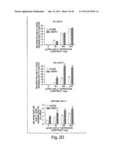 SMAD PROTEINS CONTROL DROSHA-MEDIATED MIRNA MATURATION diagram and image