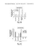 SMAD PROTEINS CONTROL DROSHA-MEDIATED MIRNA MATURATION diagram and image