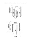 SMAD PROTEINS CONTROL DROSHA-MEDIATED MIRNA MATURATION diagram and image