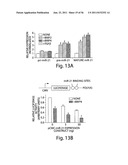 SMAD PROTEINS CONTROL DROSHA-MEDIATED MIRNA MATURATION diagram and image