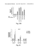 SMAD PROTEINS CONTROL DROSHA-MEDIATED MIRNA MATURATION diagram and image