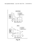 SMAD PROTEINS CONTROL DROSHA-MEDIATED MIRNA MATURATION diagram and image