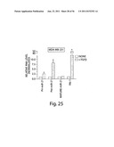 SMAD PROTEINS CONTROL DROSHA-MEDIATED MIRNA MATURATION diagram and image