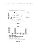 SMAD PROTEINS CONTROL DROSHA-MEDIATED MIRNA MATURATION diagram and image