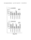 SMAD PROTEINS CONTROL DROSHA-MEDIATED MIRNA MATURATION diagram and image