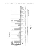 SMAD PROTEINS CONTROL DROSHA-MEDIATED MIRNA MATURATION diagram and image