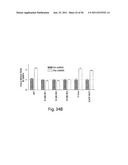 SMAD PROTEINS CONTROL DROSHA-MEDIATED MIRNA MATURATION diagram and image