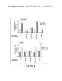 SMAD PROTEINS CONTROL DROSHA-MEDIATED MIRNA MATURATION diagram and image