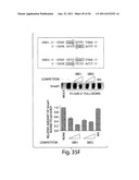 SMAD PROTEINS CONTROL DROSHA-MEDIATED MIRNA MATURATION diagram and image