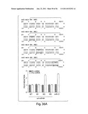 SMAD PROTEINS CONTROL DROSHA-MEDIATED MIRNA MATURATION diagram and image