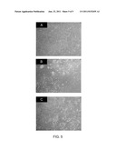 MONOMERS FOR MAKING POLYMERIC CELL CULTURE SURFACE diagram and image