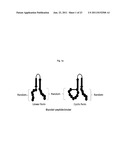 Bipodal-Peptide Binder diagram and image