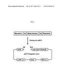 Bipodal-Peptide Binder diagram and image