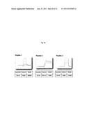 Bipodal-Peptide Binder diagram and image