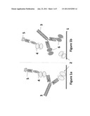 METHOD FOR DECREASING IMMUNOGENICITY diagram and image