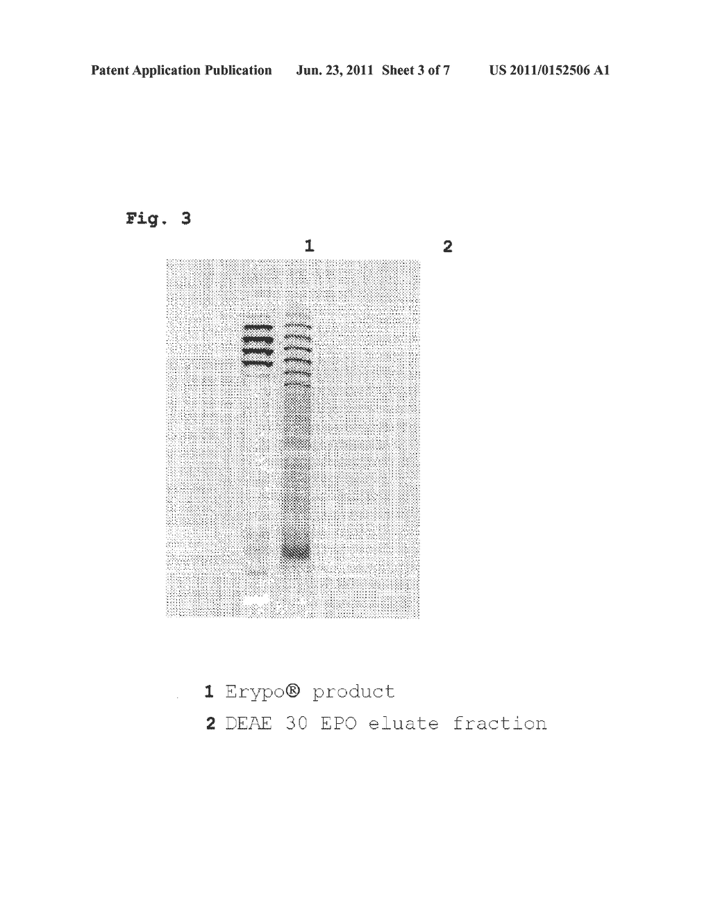 Method for Purifying Erythropoietin - diagram, schematic, and image 04