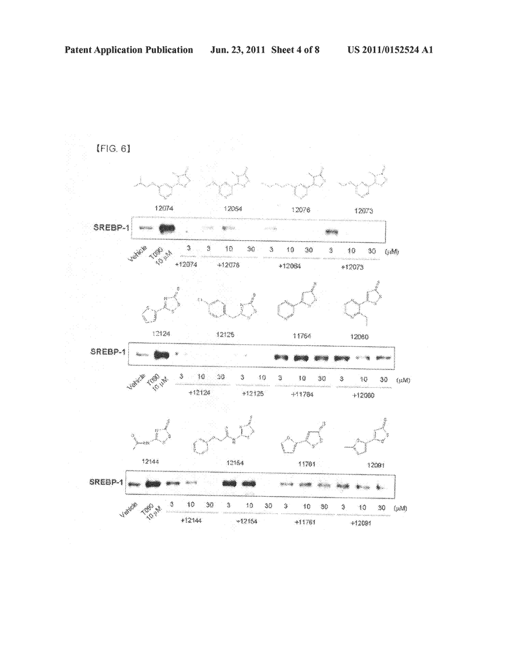 PHARMACEUTICAL COMPOSITION CONTAINING 1,2-DITHIOLTHIONE DERIVATIVE FOR     PREVENTING OR TREATING DISEASE CAUSED BY OVEREXPRESSION OF LXR-ALPHA - diagram, schematic, and image 05