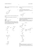 Process For The Preparation Of 1-Alkyl And 1-Aryl-5-pyrazolecarboxylic     Acid Derivatives diagram and image