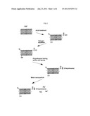 CARBON NANOTUBE COMPOSITE AND PREPARATION METHOD OF THE SAME diagram and image